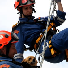 Equipo de Seguridad Industrial